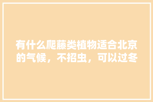 有什么爬藤类植物适合北京的气候，不招虫，可以过冬，北京好养护的植物有哪些品种。