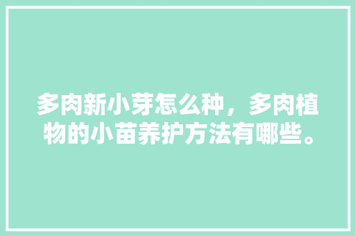 多肉新小芽怎么种，多肉植物的小苗养护方法有哪些。
