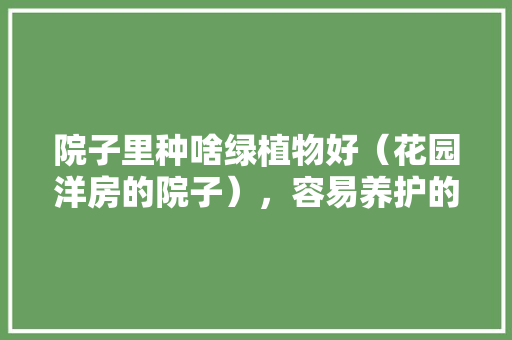 院子里种啥绿植物好（花园洋房的院子），容易养护的花园植物图片大全。
