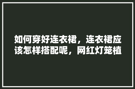 如何穿好连衣裙，连衣裙应该怎样搭配呢，网红灯笼植物怎么养护的视频。
