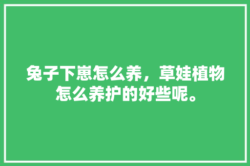 兔子下崽怎么养，草娃植物怎么养护的好些呢。
