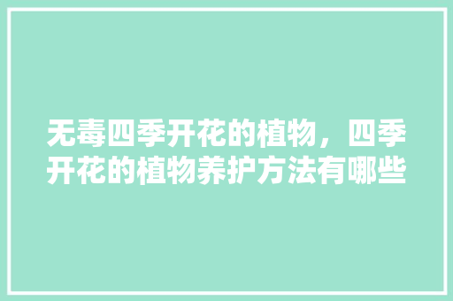 无毒四季开花的植物，四季开花的植物养护方法有哪些。
