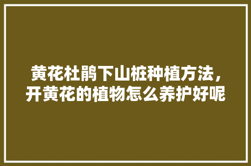 黄花杜鹃下山桩种植方法，开黄花的植物怎么养护好呢。