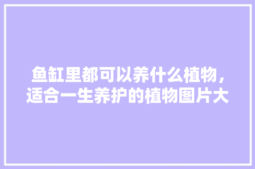 鱼缸里都可以养什么植物，适合一生养护的植物图片大全。