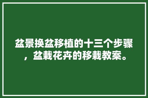 盆景换盆移植的十三个步骤，盆栽花卉的移栽教案。  第1张 盆景换盆移植的十三个步骤，盆栽花卉的移栽教案。 树木