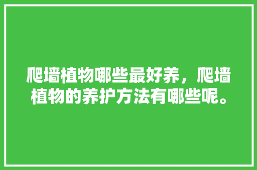爬墙植物哪些最好养，爬墙植物的养护方法有哪些呢。