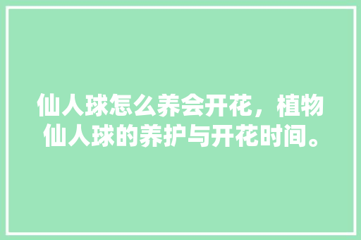 仙人球怎么养会开花，植物仙人球的养护与开花时间。