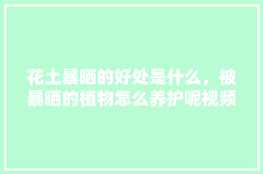 花土暴晒的好处是什么，被暴晒的植物怎么养护呢视频。