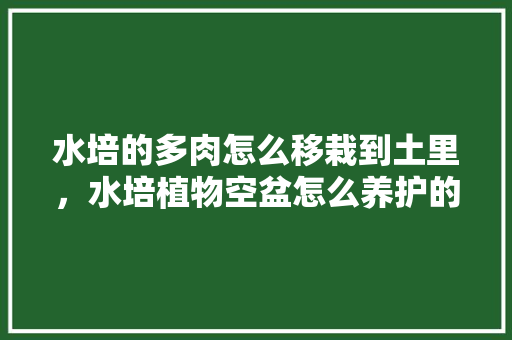 水培的多肉怎么移栽到土里，水培植物空盆怎么养护的好。