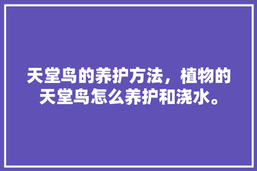 天堂鸟的养护方法，植物的天堂鸟怎么养护和浇水。
