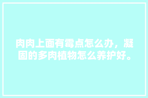 肉肉上面有霉点怎么办，凝固的多肉植物怎么养护好。