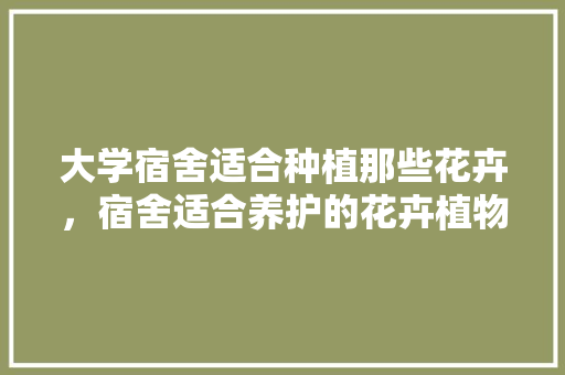 大学宿舍适合种植那些花卉，宿舍适合养护的花卉植物有哪些。