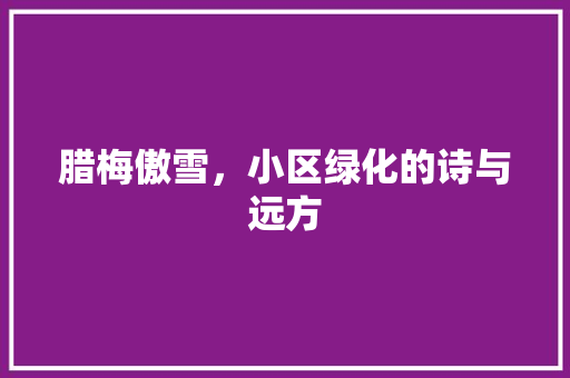 腊梅傲雪，小区绿化的诗与远方