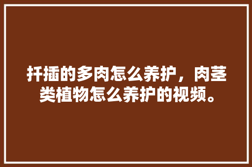 扦插的多肉怎么养护，肉茎类植物怎么养护的视频。