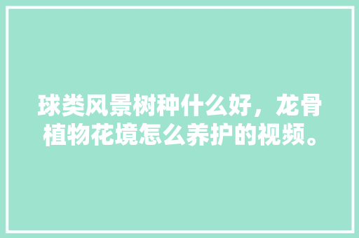 球类风景树种什么好，龙骨植物花境怎么养护的视频。