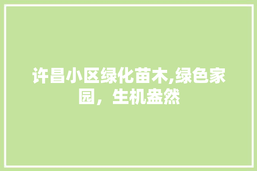 许昌小区绿化苗木,绿色家园，生机盎然