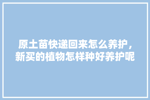 原土苗快递回来怎么养护，新买的植物怎样种好养护呢。