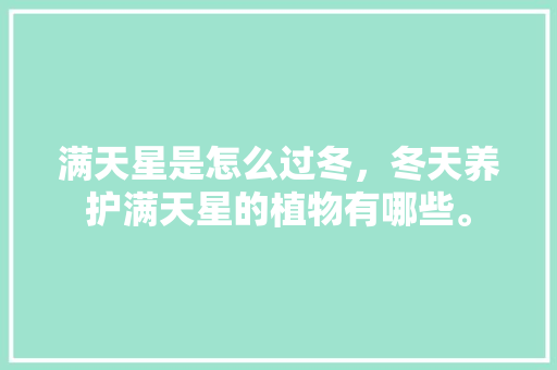 满天星是怎么过冬，冬天养护满天星的植物有哪些。