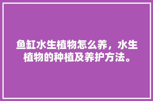 鱼缸水生植物怎么养，水生植物的种植及养护方法。