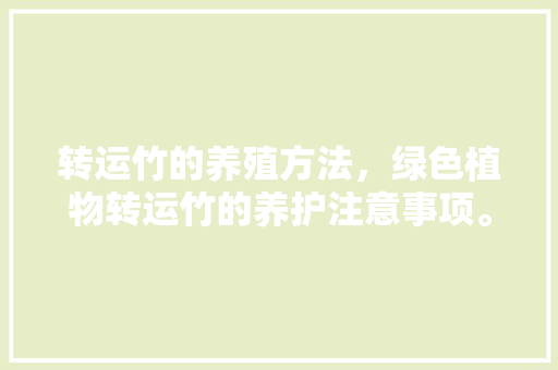 转运竹的养殖方法，绿色植物转运竹的养护注意事项。