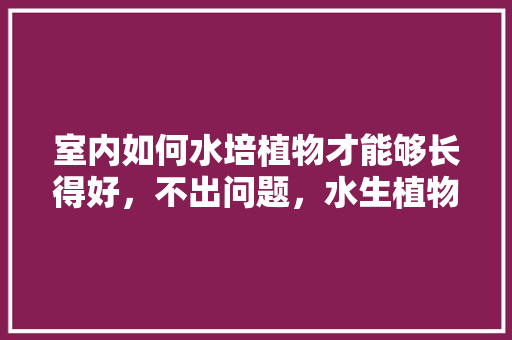室内如何水培植物才能够长得好，不出问题，水生植物室内怎么养护的呢。