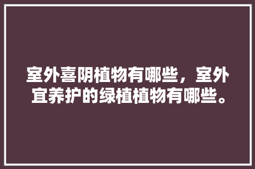 室外喜阴植物有哪些，室外宜养护的绿植植物有哪些。