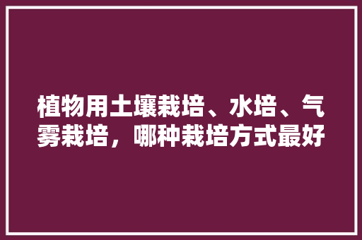 植物用土壤栽培、水培、气雾栽培，哪种栽培方式最好？需要注意什么呢，水培植物的栽培与养护方法。