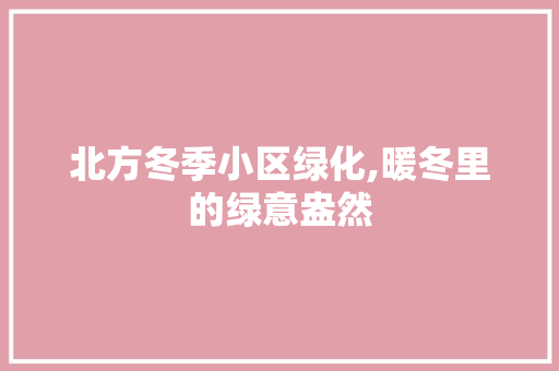 北方冬季小区绿化,暖冬里的绿意盎然