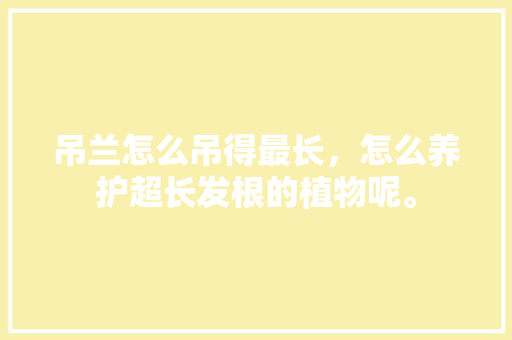 吊兰怎么吊得最长，怎么养护超长发根的植物呢。