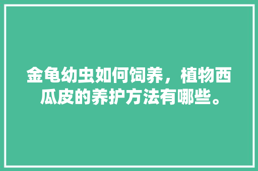 金龟幼虫如何饲养，植物西瓜皮的养护方法有哪些。