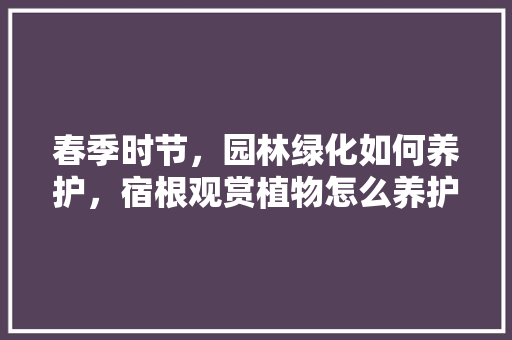 春季时节，园林绿化如何养护，宿根观赏植物怎么养护的视频。