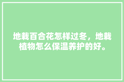 地栽百合花怎样过冬，地栽植物怎么保温养护的好。