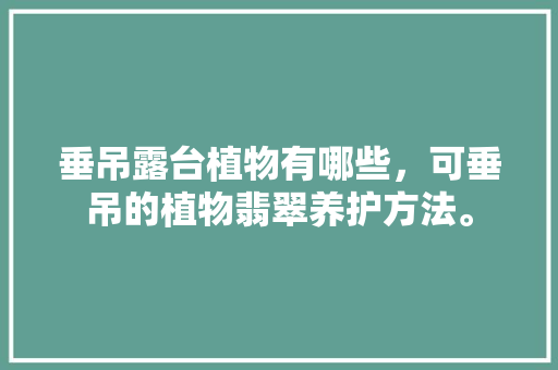 垂吊露台植物有哪些，可垂吊的植物翡翠养护方法。