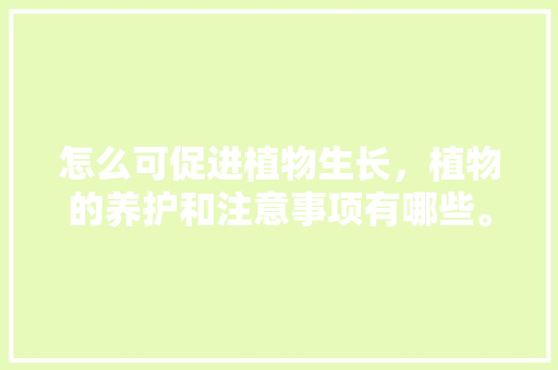 怎么可促进植物生长，植物的养护和注意事项有哪些。