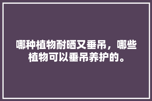 哪种植物耐晒又垂吊，哪些植物可以垂吊养护的。
