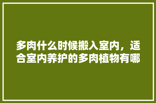 多肉什么时候搬入室内，适合室内养护的多肉植物有哪些。