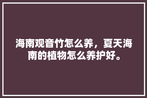 海南观音竹怎么养，夏天海南的植物怎么养护好。