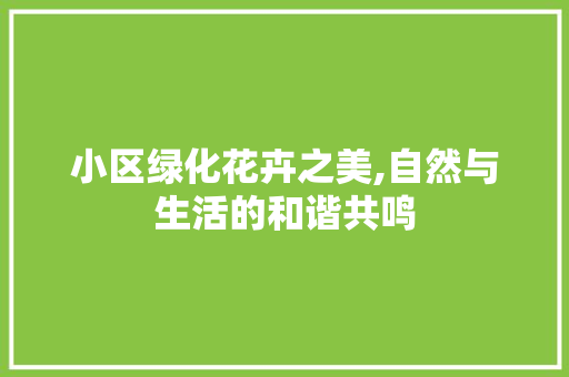 小区绿化花卉之美,自然与生活的和谐共鸣