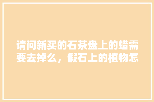 请问新买的石茶盘上的蜡需要去掉么，假石上的植物怎么养护好呢。  第1张 请问新买的石茶盘上的蜡需要去掉么，假石上的植物怎么养护好呢。 植物养护