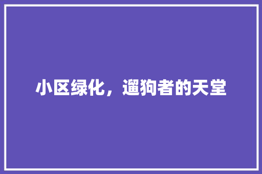 小区绿化，遛狗者的天堂 树木