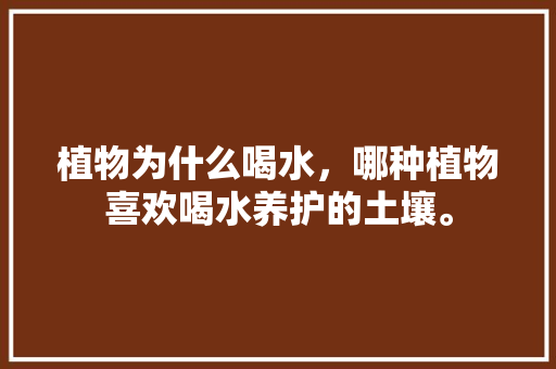 植物为什么喝水，哪种植物喜欢喝水养护的土壤。