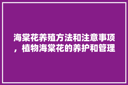 海棠花养殖方法和注意事项，植物海棠花的养护和管理方法。