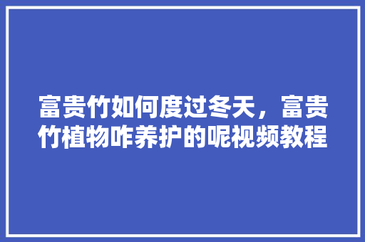 富贵竹如何度过冬天，富贵竹植物咋养护的呢视频教程。