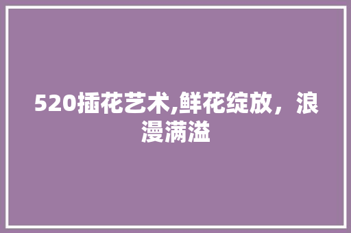520插花艺术,鲜花绽放，浪漫满溢 土壤选择