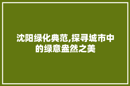 沈阳绿化典范,探寻城市中的绿意盎然之美