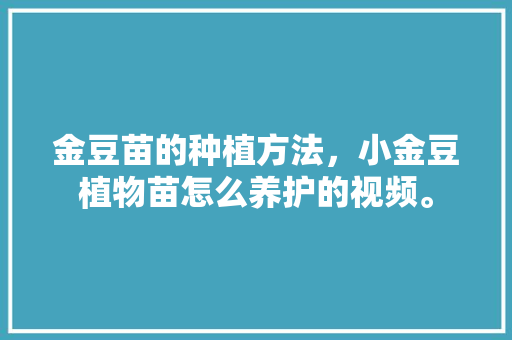 金豆苗的种植方法，小金豆植物苗怎么养护的视频。 土壤选择