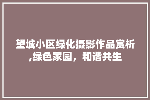 望城小区绿化摄影作品赏析,绿色家园，和谐共生 养护技巧