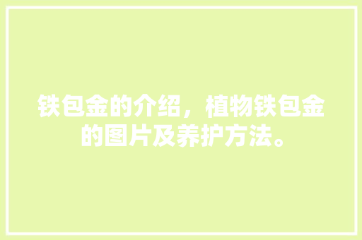 铁包金的介绍，植物铁包金的图片及养护方法。
