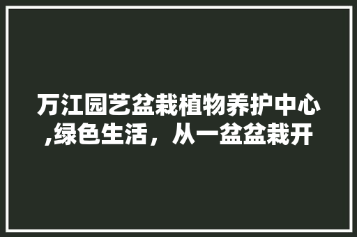 万江园艺盆栽植物养护中心,绿色生活，从一盆盆栽开始 灌溉技术