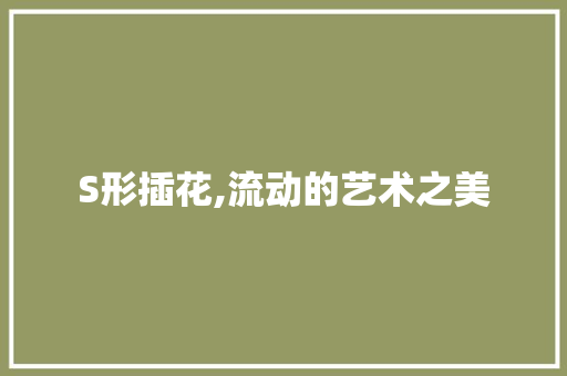 S形插花,流动的艺术之美 爬藤植物